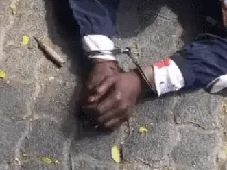 1701753887093.webp