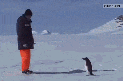 1704501497900.gif