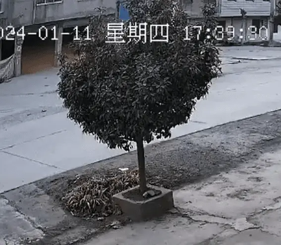 1705373787141.webp