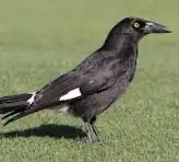 1705818208742.webp