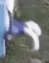 1705968205810.webp