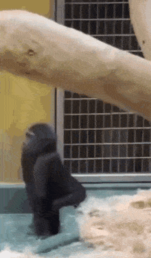 1709134609680.gif