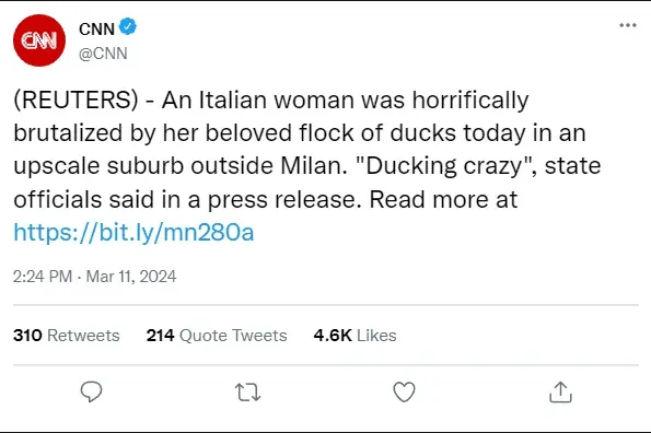 1710227395952.webp