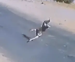 1711649392708.webp