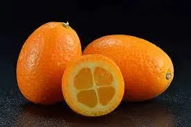 1711987558751.png