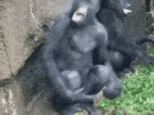 1712080351647.gif