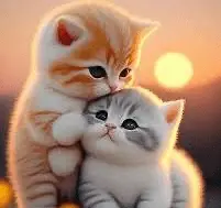 1712721734778.webp