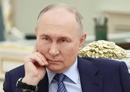 1715914335144.webp