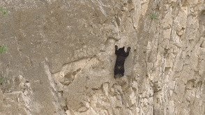 1716770890376.gif
