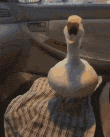 1716786819473.gif