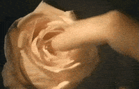 1717303552459.gif