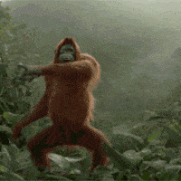 1717844939701.gif