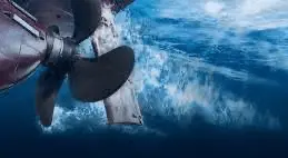 1718101805840.webp