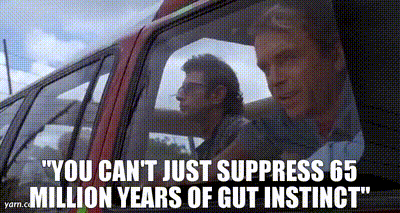 1718252465987.gif