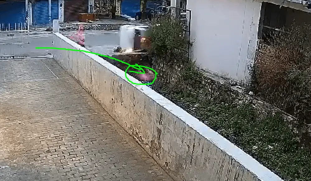 1719343020027.webp