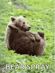 1719366790620.gif
