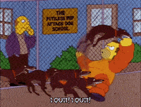 1719470194102.gif