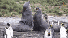 1719621984369.gif