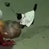 1719707329184.webp