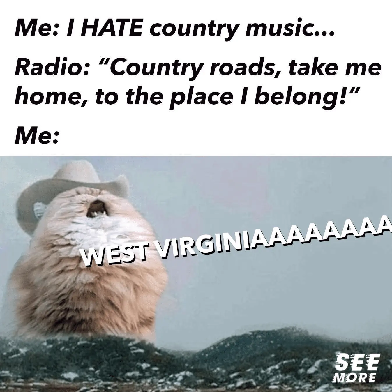 1720071977975.png