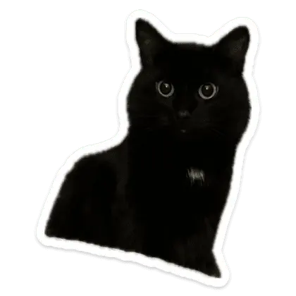 1721007866053.webp