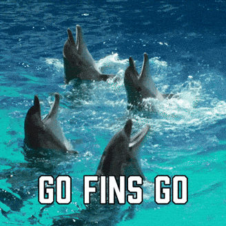 1723603311692.gif