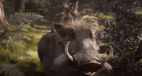 1723637097565.gif