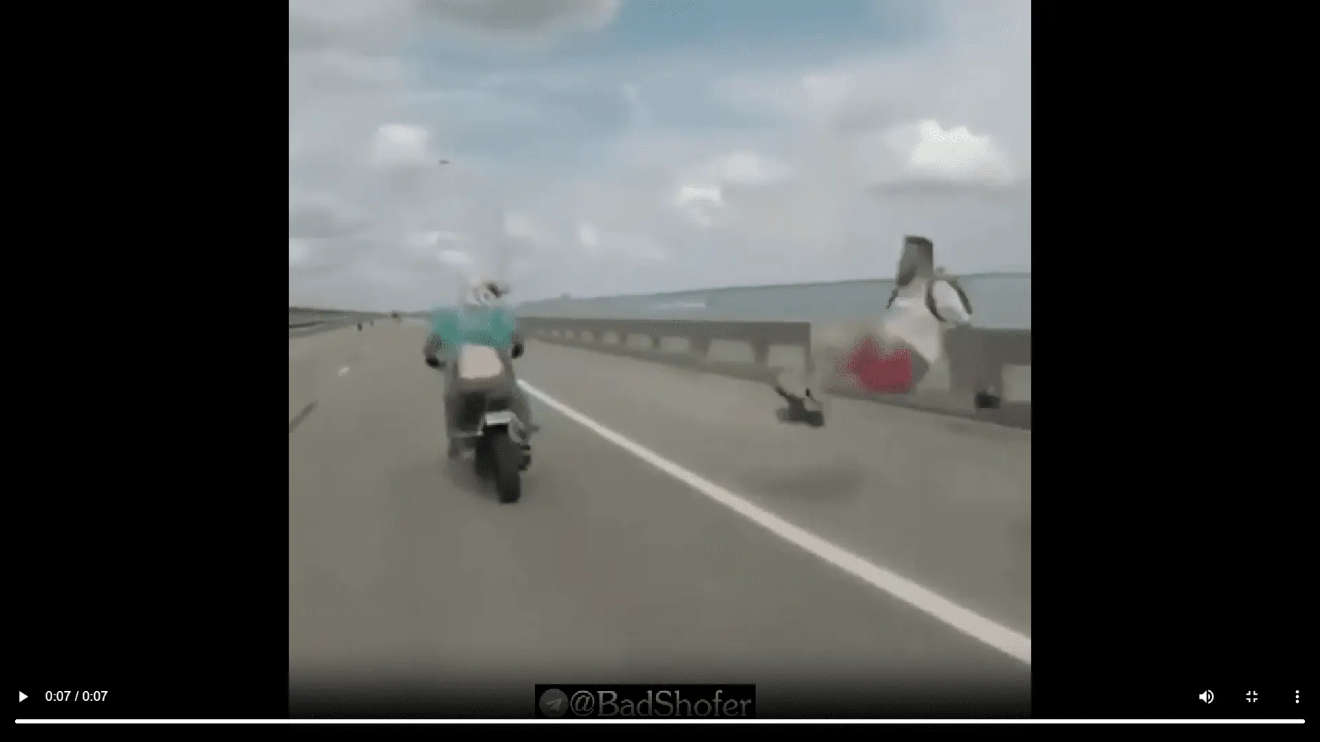 1723993388628.webp