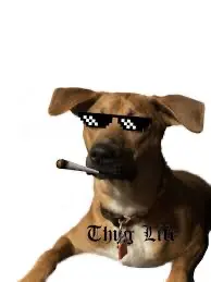 1724029992150.webp