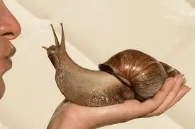 1724956195250.webp