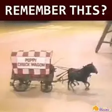 1725297584790.webp