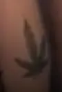 1725574138815.webp