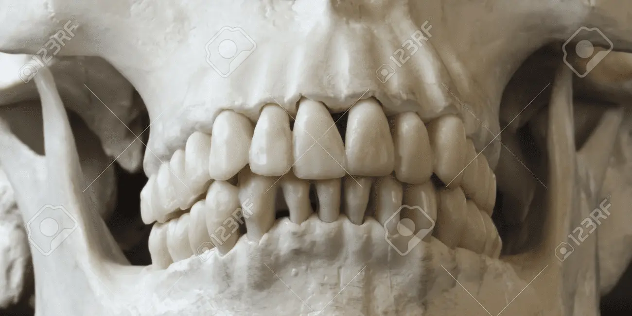 1725680427827.webp