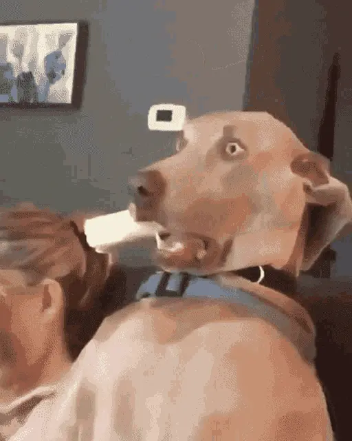 1726095436018.png