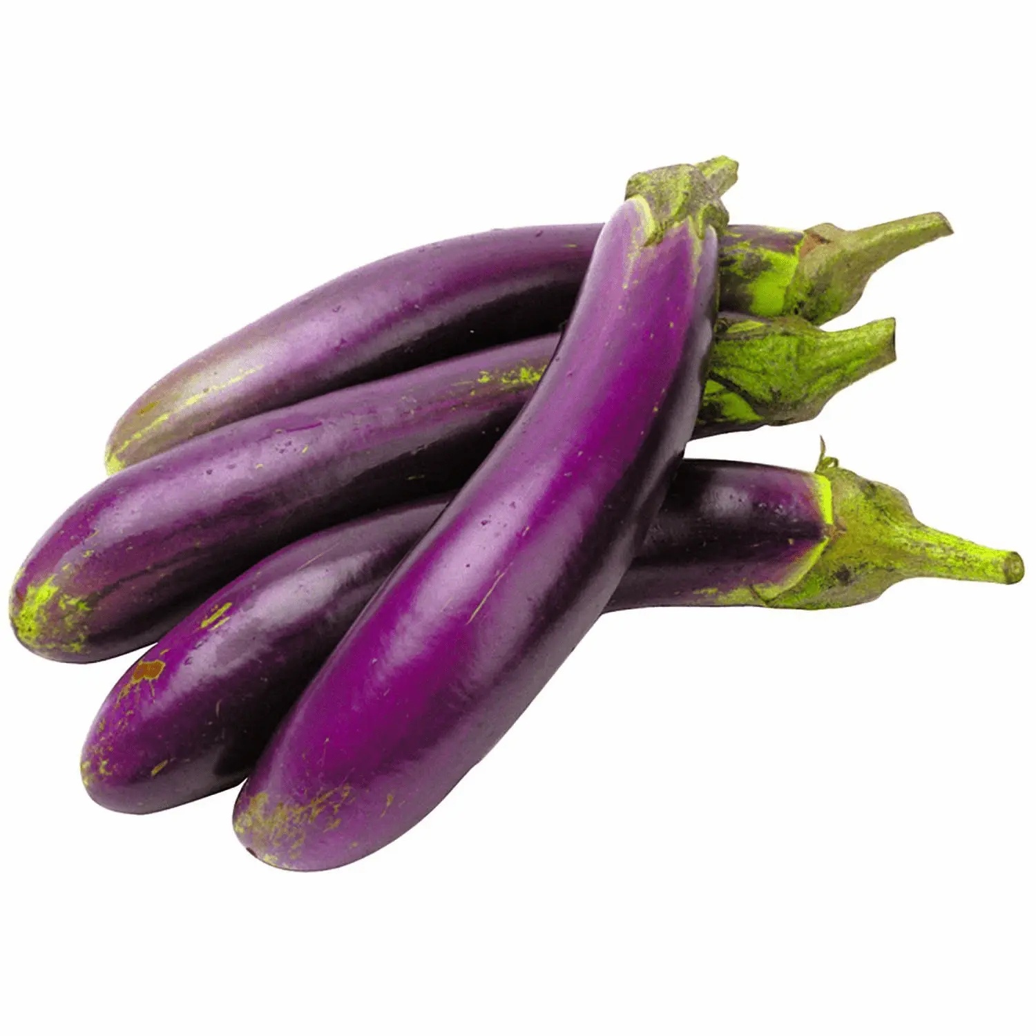 1726266657044.webp