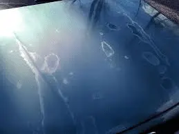 1726617716823.png