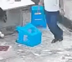 1728319409265.webp
