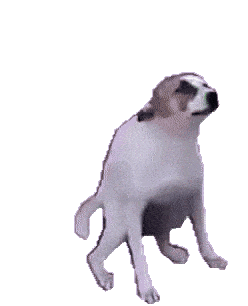 1729685556331.gif
