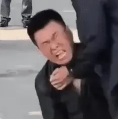 1730033402460.webp