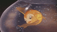 1730496337680.gif