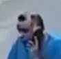 1731350370488.png