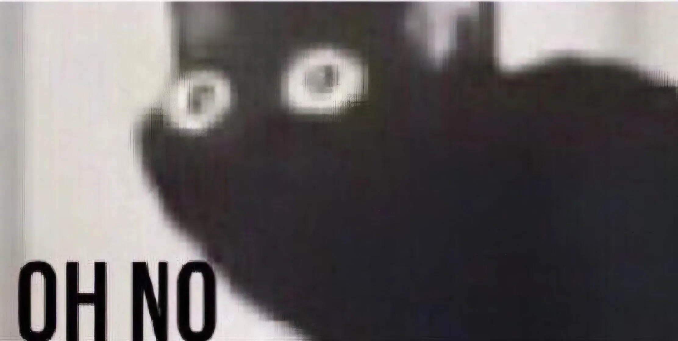 1732849578645.webp