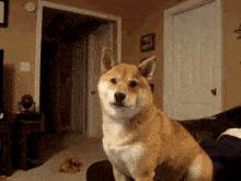 1732937695416.gif