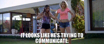 1733170021145.gif