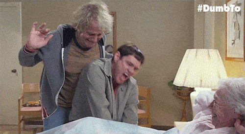 1733289668979.gif