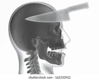 1734490733710.webp