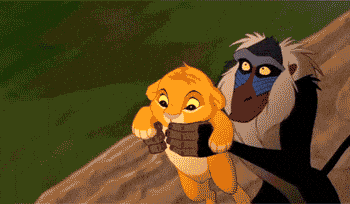 1734543531473.gif