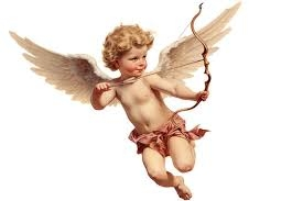 1734562087388.webp