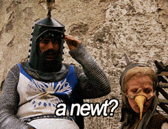 1734590287702.gif