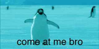 1734623158405.gif
